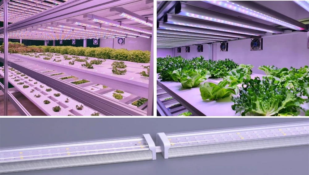 Indoor LED lights for plants